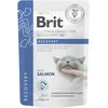 Vafo Praha Sro Brit GF Veterinary Diets konservai katėms maiš. Recovery 85g