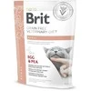 Vafo Praha Sro Brit GF Veterinary Diets Cat Renal 0,4kg