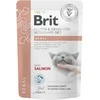 Vafo Praha Sro Brit GF Veterinary Diets konservai katėms maiš. Renal 85g