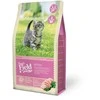 Vafo Praha Sro Sam´s Field Cat Kitten 2,5kg
