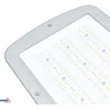 100W LED gatvės šviestuvas AVENUE, šviesiai pilkas, 2700K, IP66, 150°x78°