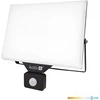 100W LED prožektorius su judesio davikliu DELYO MHNC, juodas, 6000K, IP54