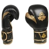 BUSHIDO 10oz Bokso pirštinės - Aureos - Valor serija