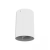 10W LED lubinis šviestuvas, baltas, 3000K, IP44, S179