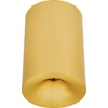 10W LED lubinis šviestuvas, matinės žalvario sp., 3000K, IP54, 25298