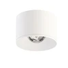 Lubinis šviestuvas 10W LED paviršinis šviestuvas PUCK M, baltas, 3000K