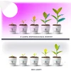 11W LED augalų auginimo lemputė PLANTY, E27, balta, 1200K