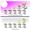 11W LED augalų auginimo lemputė PLANTY, E27, balta, 1200K