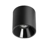Lubinis šviestuvas 12,4W LED paviršinis šviestuvas SHOT LIGHT M, juodas, 3000K, DALI
