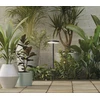 12W LED pastatomas/įsmeigiamas lauko šviestuvas SHEDIR, antracito sp., 3000K, IP65, H2076000GR