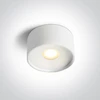 Lubinis šviestuvas 12W LED paviršinis šviestuvas, baltas, 3000/3500/4000K, 12112F/W/V