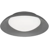 Lubinis šviestuvas 12W LED paviršinis šviestuvas BRITNEY, tamsiai pilkas, 3000K, 4307200