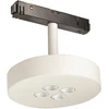 12W LED šviestuvas į magnetinę sistemą ZAMBELIS, baltas, 3000K, 20178