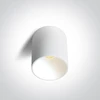 Lubinis šviestuvas 14W LED paviršinis šviestuvas, baltas, 3000/3500/4000K, 12114E/W/V