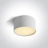 Lubinis šviestuvas 14W LED paviršinis šviestuvas, baltas, 3000/4000/5000K, 12114M/W/V