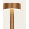 1,5W LED įsmeigiamas lauko šviestuvas, rudas, 3000K, IP65, E465