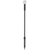 1,5W LED įsmeigiamas šviestuvas TWIGGY, juodas, 3000K, IP65, 347905