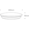 Lubinis šviestuvas 15W LED plafonas, baltas, 3000/4000/5000K, 62026A/V