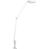 15W LED stalo šviestuvas SUN@HOME PANAN DESK DISC, baltas, 2200-5000K, išmanus+WiFi valdymas