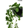 16W LED sieninis šviestuvas PLANT WALL, juodas, 3000K