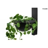16W LED sieninis šviestuvas PLANT WALL, juodas, 3000K