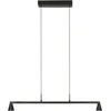 17W LED pakabinamas šviestuvas, juodas, 2700/3000K, dimeriuojamas, 2692