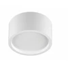Lubinis šviestuvas 17W paviršinis šviestuvas RQ 160 LED N, baltas, 4000K, IP33