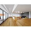 Ledvance 18W LED įleidžiama panelė DL PROTECT, balta, 4000K, IP44