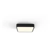 18W LED lubinis šviestuvas TURIN, juodas, 2700/3000/4000K, dimeriuojamas, P3761072NDT