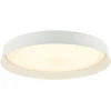 Lubinis šviestuvas 20W LED paviršinis lubų šviestuvas, baltas, 3000K, dimeriuojamas, 22127