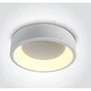 Lubinis šviestuvas 20W LED paviršinis šviestuvas, baltas, 2700/3000/4000K, 62130N/W/V