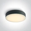 Lubinis šviestuvas 20W LED plafonas, antracito sp., 3000/4000/6500K, 67498/AN/V