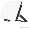 20W LED prožektorius DELYO MHN, juodas, 6000K, IP65