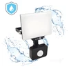 20W LED prožektorius su judesio davikliu DELYO MHNC, juodas, 4000K, IP54