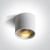 Lubinis šviestuvas 22W paviršinis šviestuvas, baltas, 3000K, 12122D/W/W