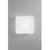 24W LED lubinis šviestuvas GROWLER, baltas, CCT