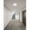 Lubinis šviestuvas 24W LED paviršinis šviestuvas KNOB, matinės aukso sp., 3000/6500K