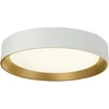 Lubinis šviestuvas 24W LED paviršinis šviestuvas SPIRITED, baltos/aukso sp., 3000K, 4271100