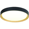 Lubinis šviestuvas 24W LED paviršinis šviestuvas SPIRITED, juodos/aukso sp., 3000K, 4271101