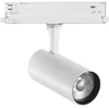 25W LED akcentinis šviestuvas į 3 fazių bėgelius FOX, baltas, 4000K, DALI, 340982