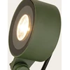 25W LED įsmeigiamas lauko šviestuvas, žalias, 3000K, IP65, E473