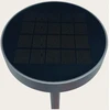 2W LED įsmeigiamas lauko šviestuvas, tamsiai pilkas, 3000K, IP54, su saulės baterija ir judesio davikliu, E449