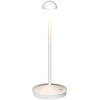 2W LED pastatomas lauko šviestuvas, baltas, 3000K, dimeriuojamas, su baterija, E313