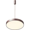 Pakabinamas šviestuvas 5361-830RP-CO-3