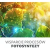 30W LED pastatomas šviestuvas augalų auginimui VITARO, juodas