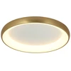 Lubinis šviestuvas 30W LED paviršinis šviestuvas, aukso sp., 3000K, 2042
