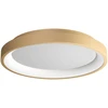 Lubinis šviestuvas 30W LED paviršinis šviestuvas ICONIC, matinės aukso sp., 3000/4000K, dimeriuojamas, 01-3903