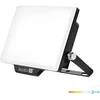 30W LED prožektorius DELYO MHN, juodas, 6000K, IP65