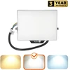 30W LED prožektorius DELYO MHN, juodas, 4000K, IP65
