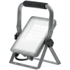 30W LED prožektorius ESUS, sidabro sp., CCT, IP65